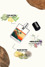 One Perfume –  DG Inspired perfume | TMPerfumehouse