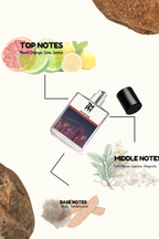 City of Star - Inspired perfume | TMPerfumehouse