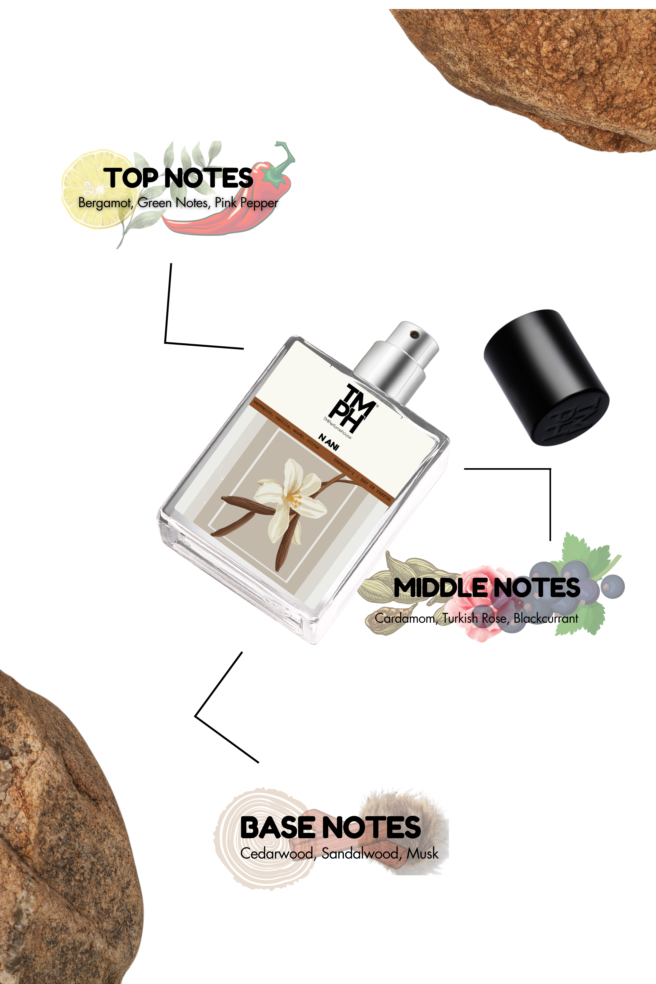 N ANI - Inspired perfume | TMPerfumehouse