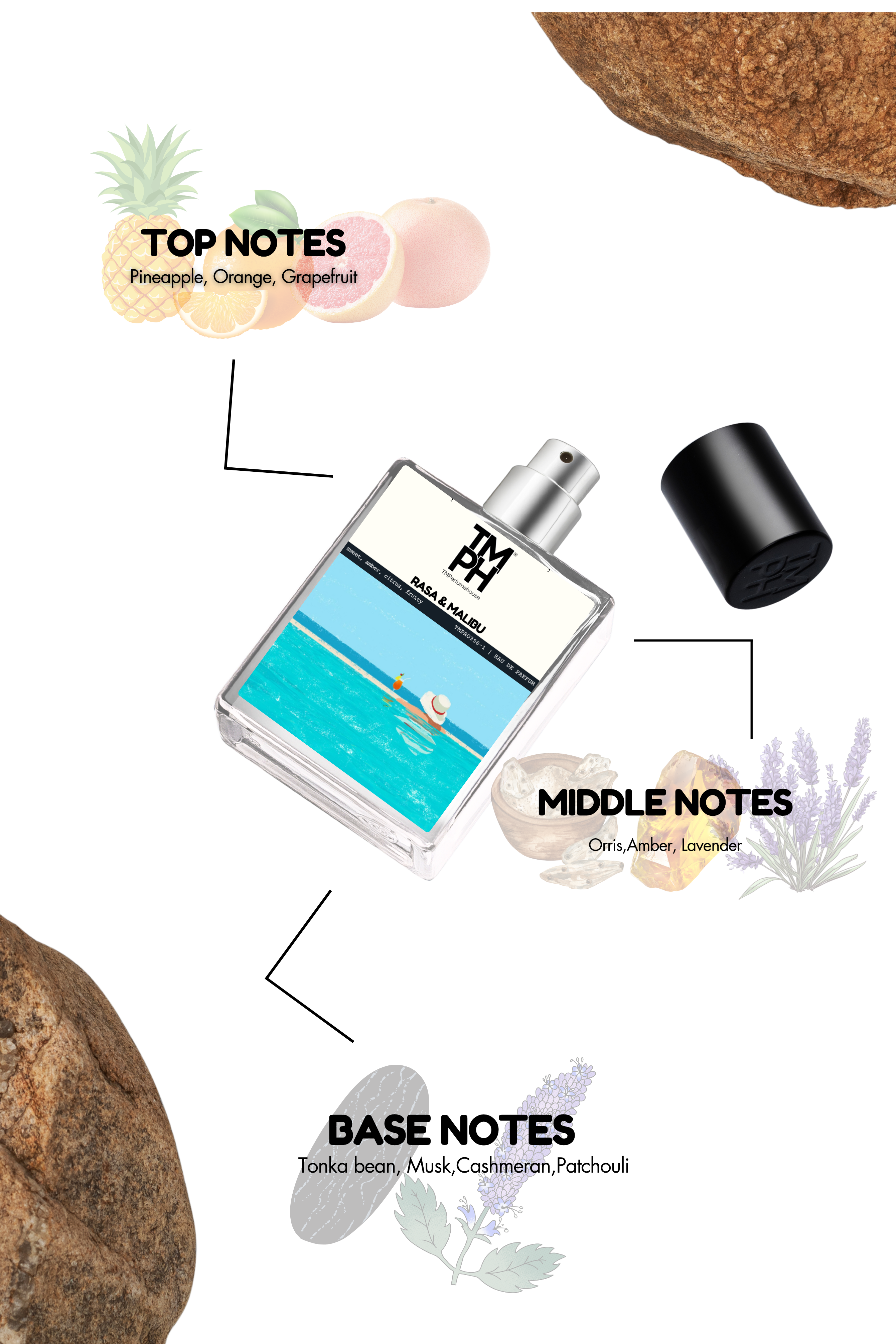 Rasa & Malibu - Inspired Perfume | TMPerfumehouse