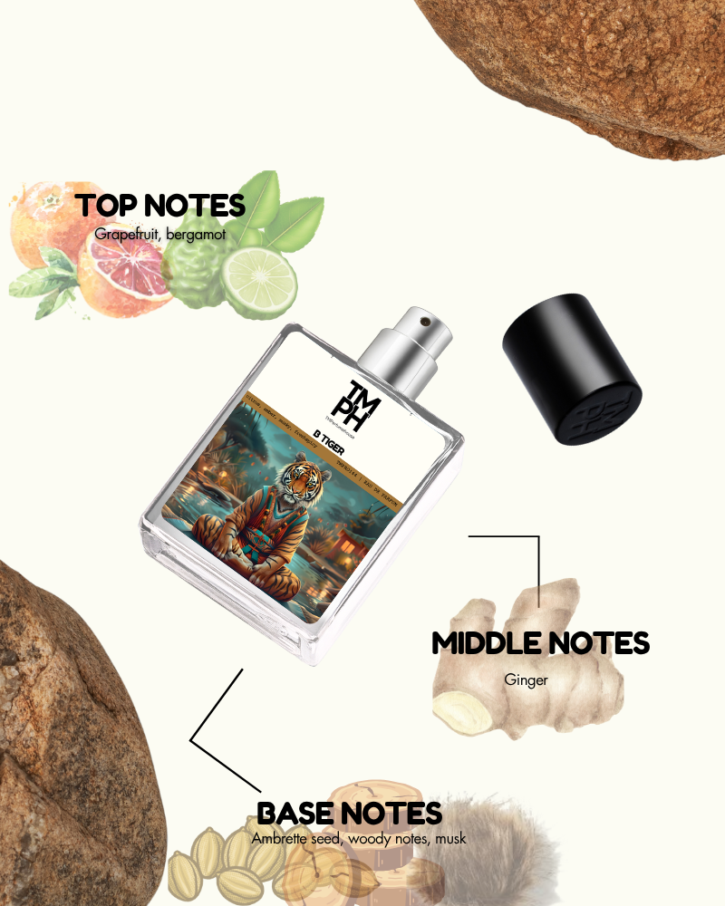 B TIGER | Premium Designer Perfume – 12+ Hours Ultra Long Lasting Spray