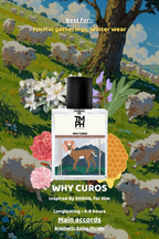 Why Curos - DG Inspired perfume | TMPerfumehouse