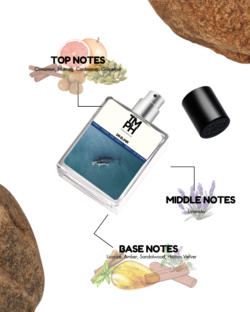 DR Elixir - Inspired by Di*r Sauvage Elixir | TMPerfumehouse