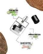 Be - DG Inspired Perfume | TMPerfumehouse