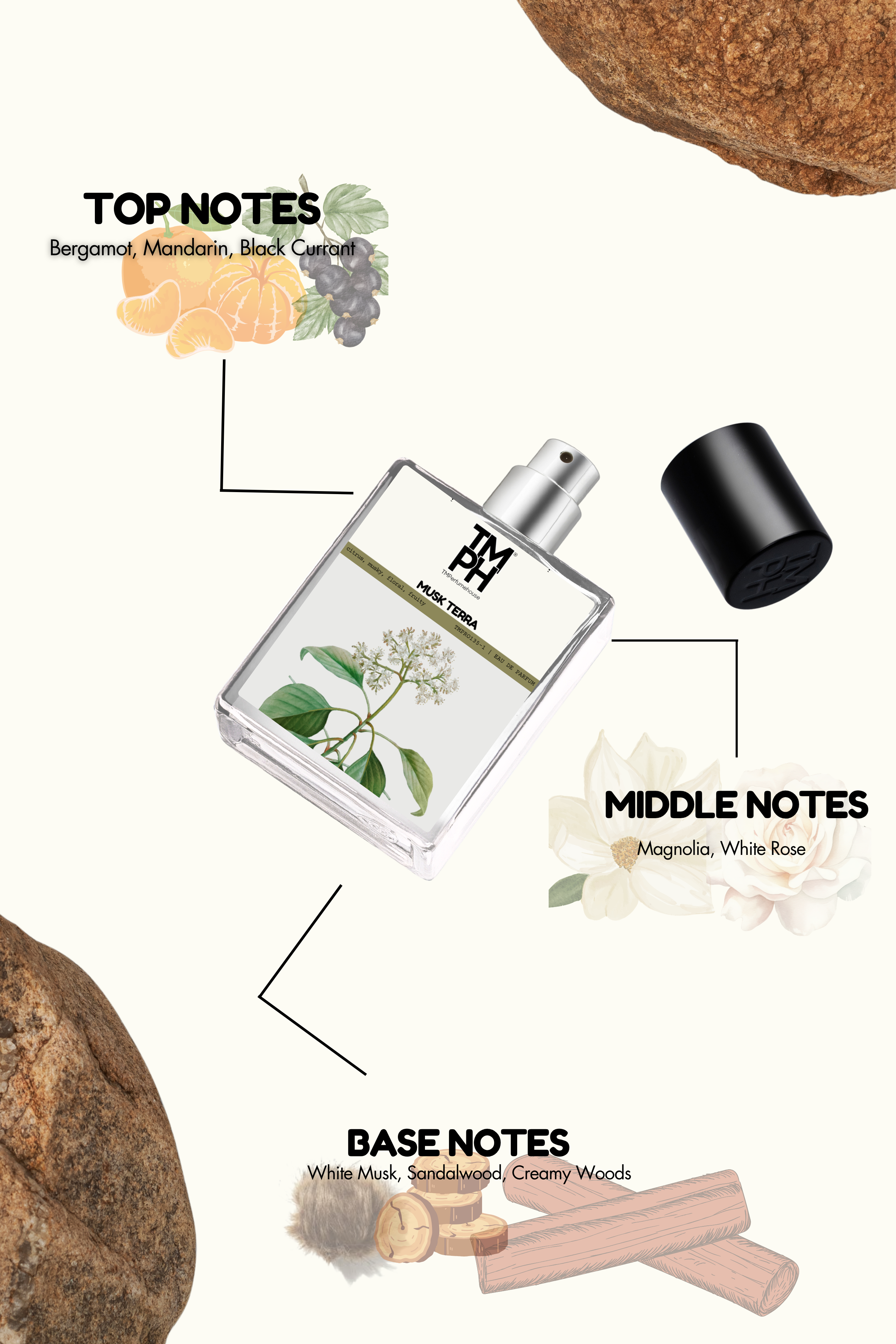 Musk Terra - Inspired perfume | TMPerfumehouse
