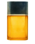 Azzaro pour Homme Azzaro 
