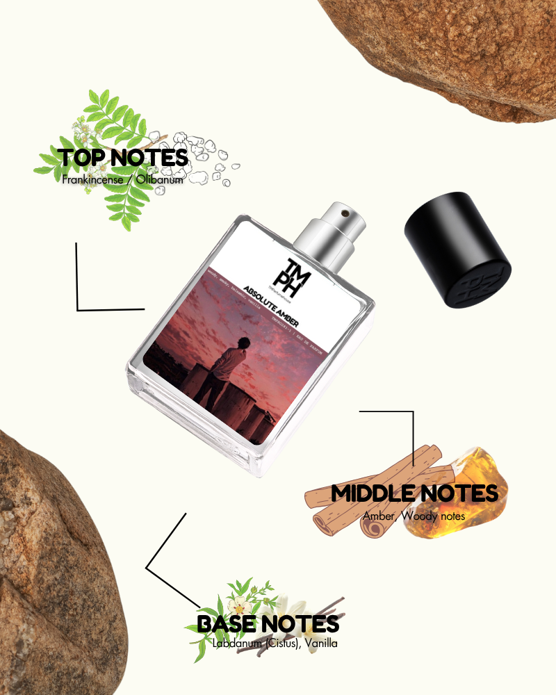 Absolute Amber – Inspired by Tom fo*d Amber Absolute | Warm, Resinous & Deeply Luxurious
