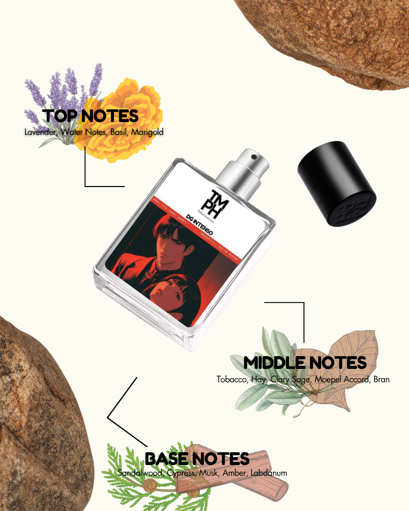 DC Intenso – Inspired perfume | TMPerfumehouse